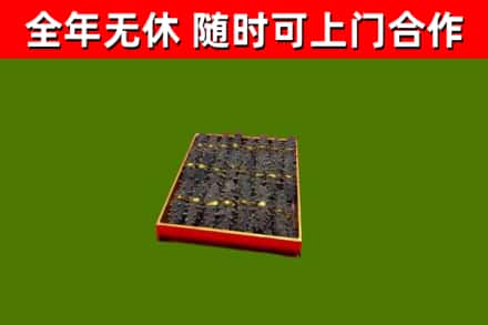 阳信回收海参